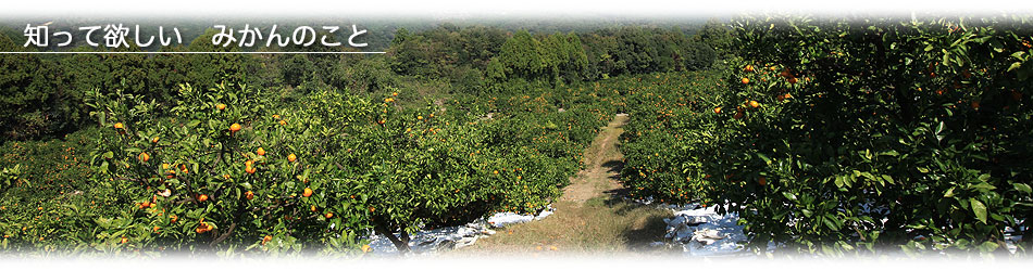 �m���ė~�����@�݂���̂���